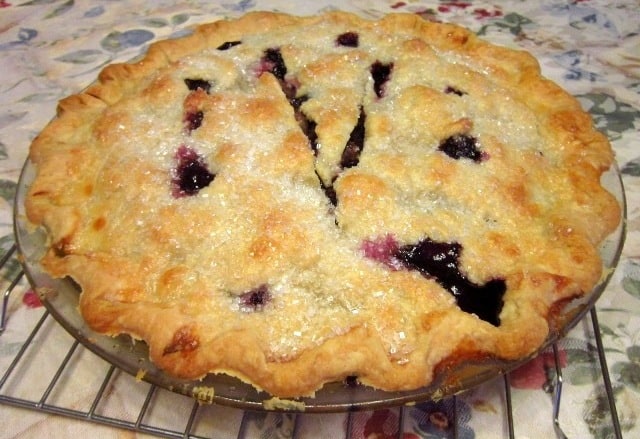 Country Blueberry Pie