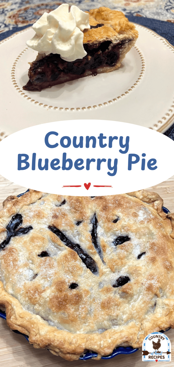Pinterest Long Pin - Country Blueberry Pie