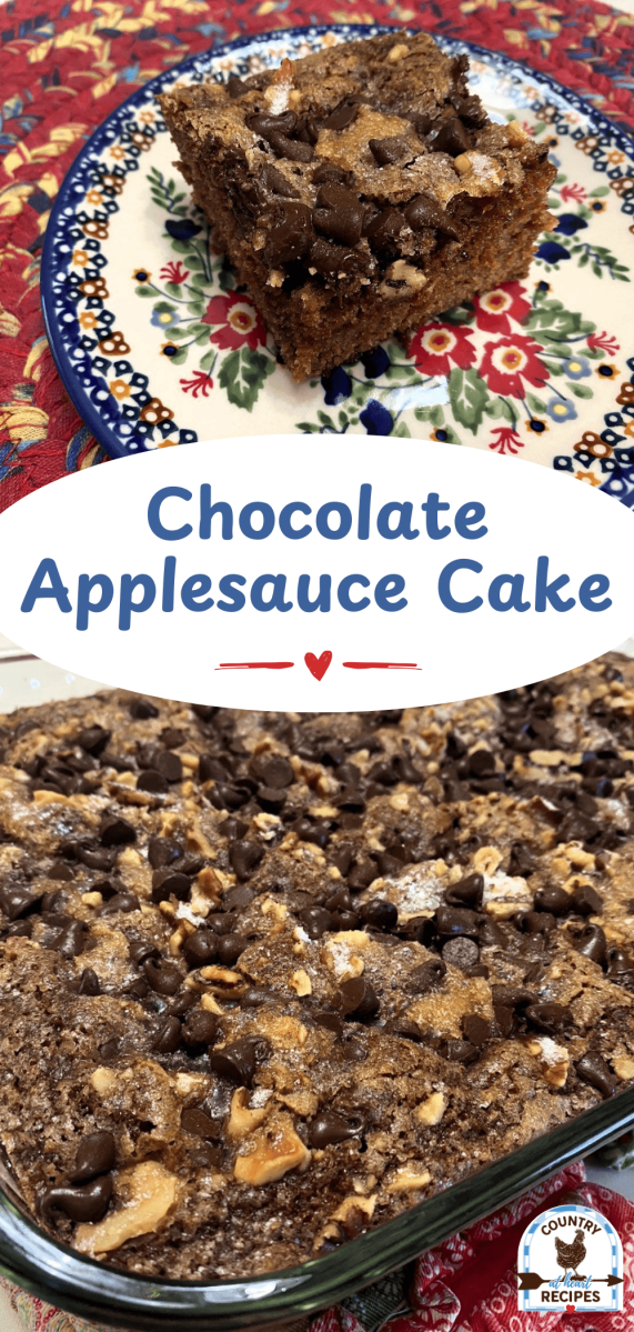 Pinterest Long Pin - Chocolate Applesauce Cake