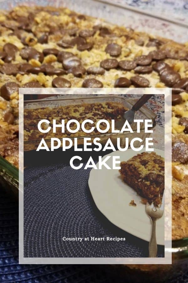 Pinterest Pin - Chocolate Applesauce Cake