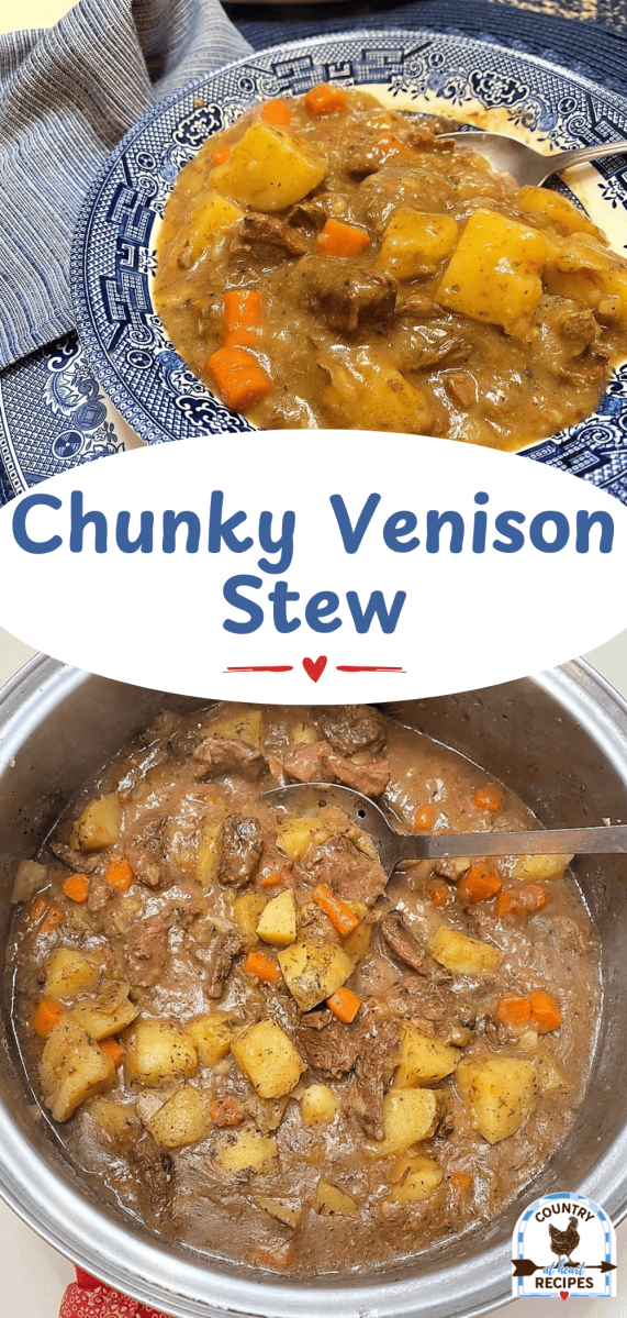 Pinterest Long Pin - Chunky Venison Stew