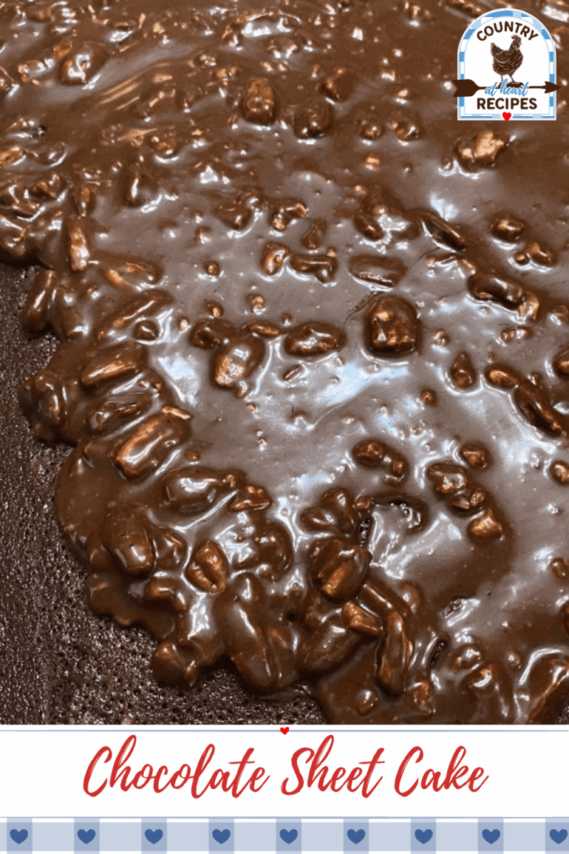 Pinterest Pin - Chocolate Sheet Cake