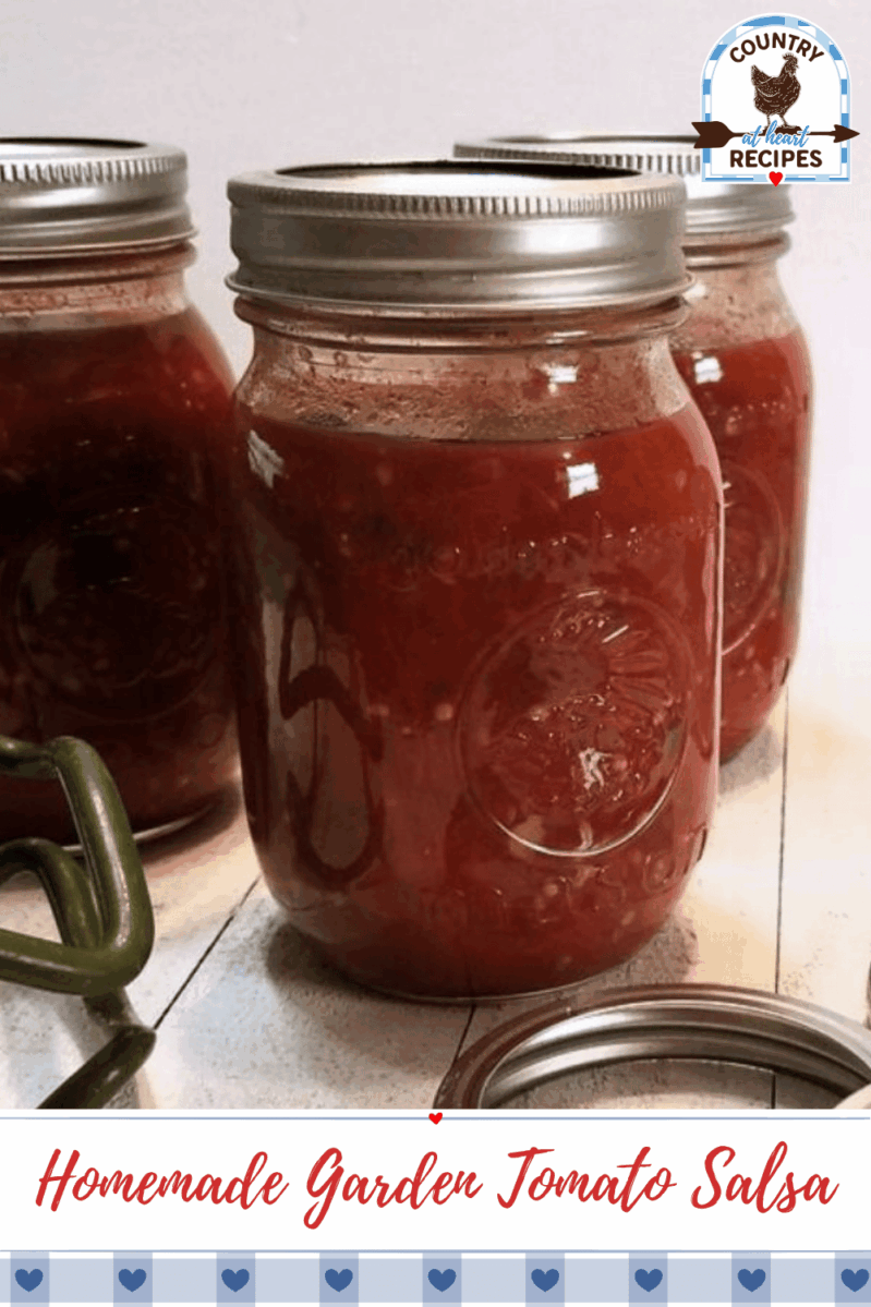 Pinterest Pin - Homemade Garden Tomato Salsa