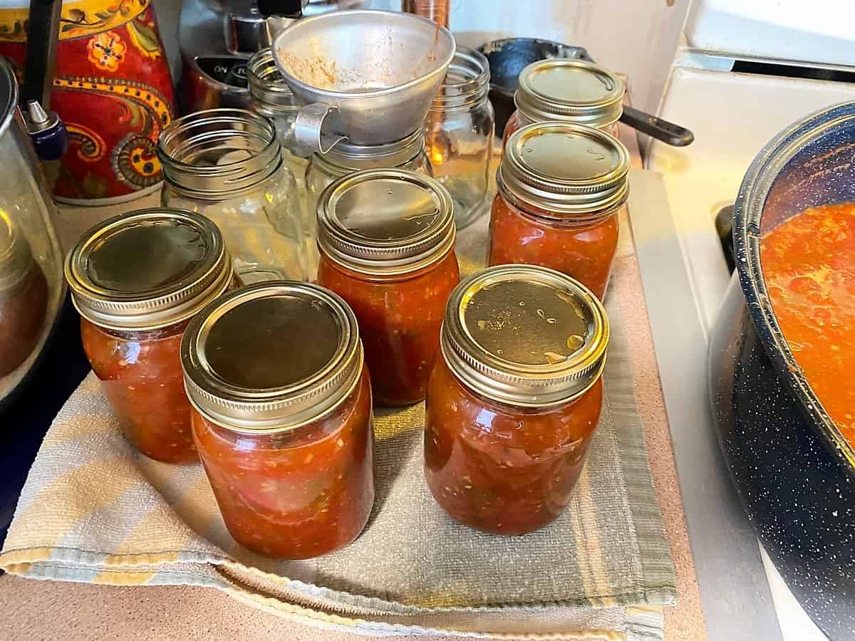 Canning Salsa with Garden Tomatoes