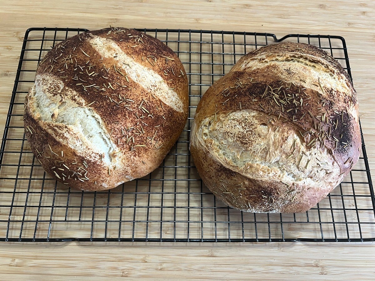 Featured Image - Recipe for No Knead Artisan Bread