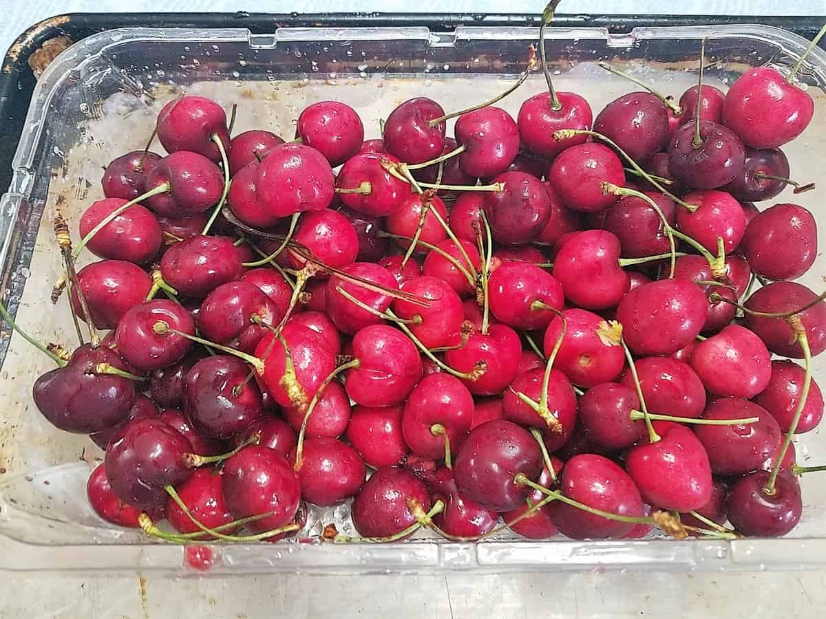 Fresh Tart Cherries - Pitting Cherries