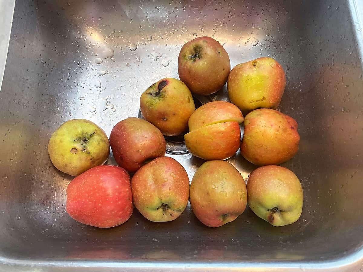 Fresh Apple Harvest - Favorite Apple Recipes