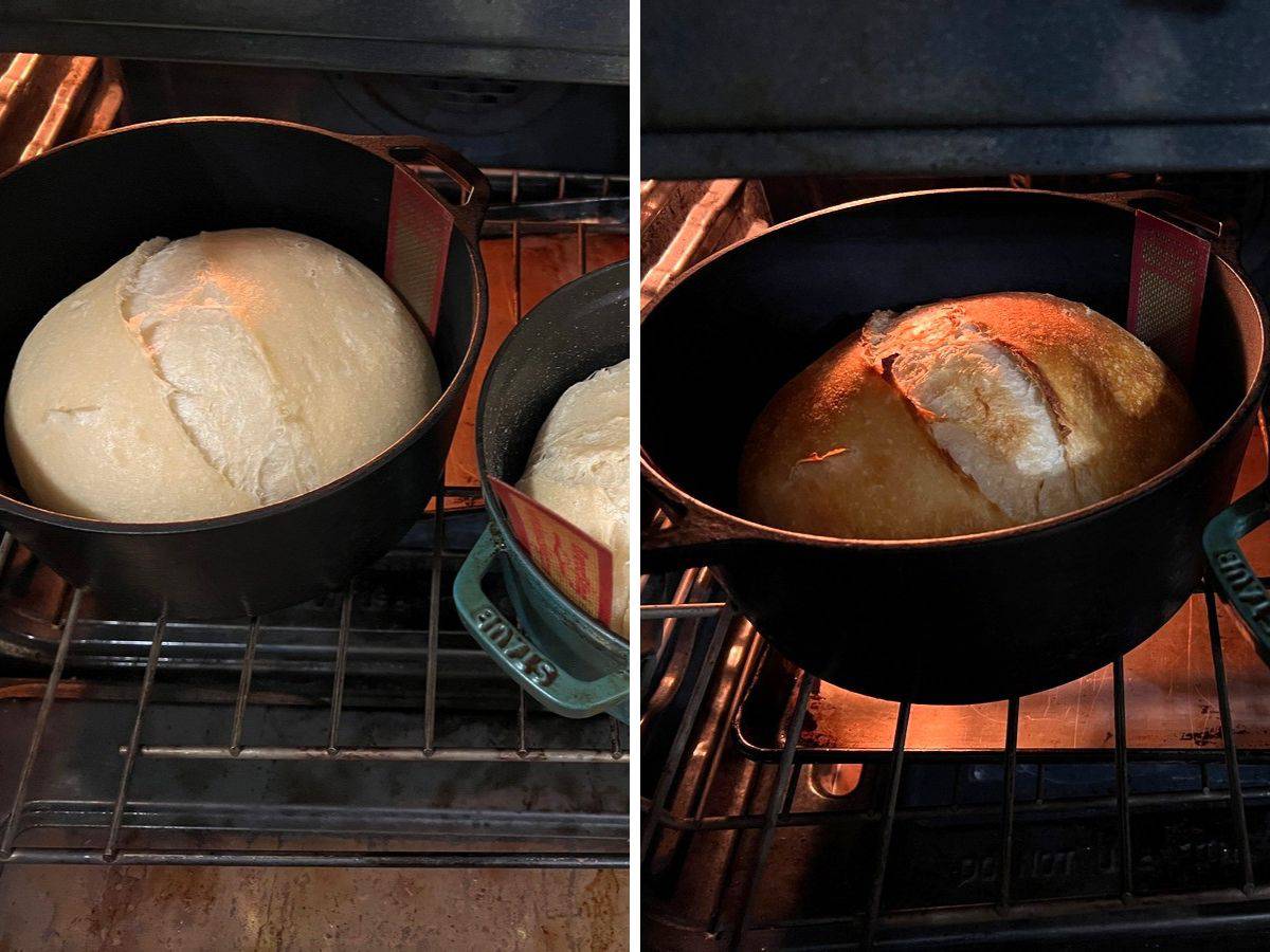 Bread in Oven after Removing Lid and After being Cured