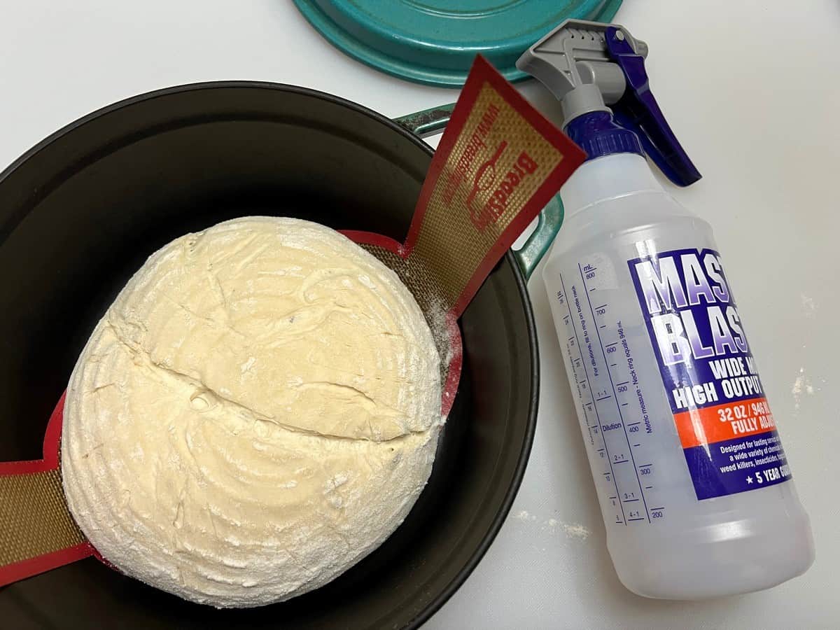 Spritz Dough with Water before Baking to Create Steam