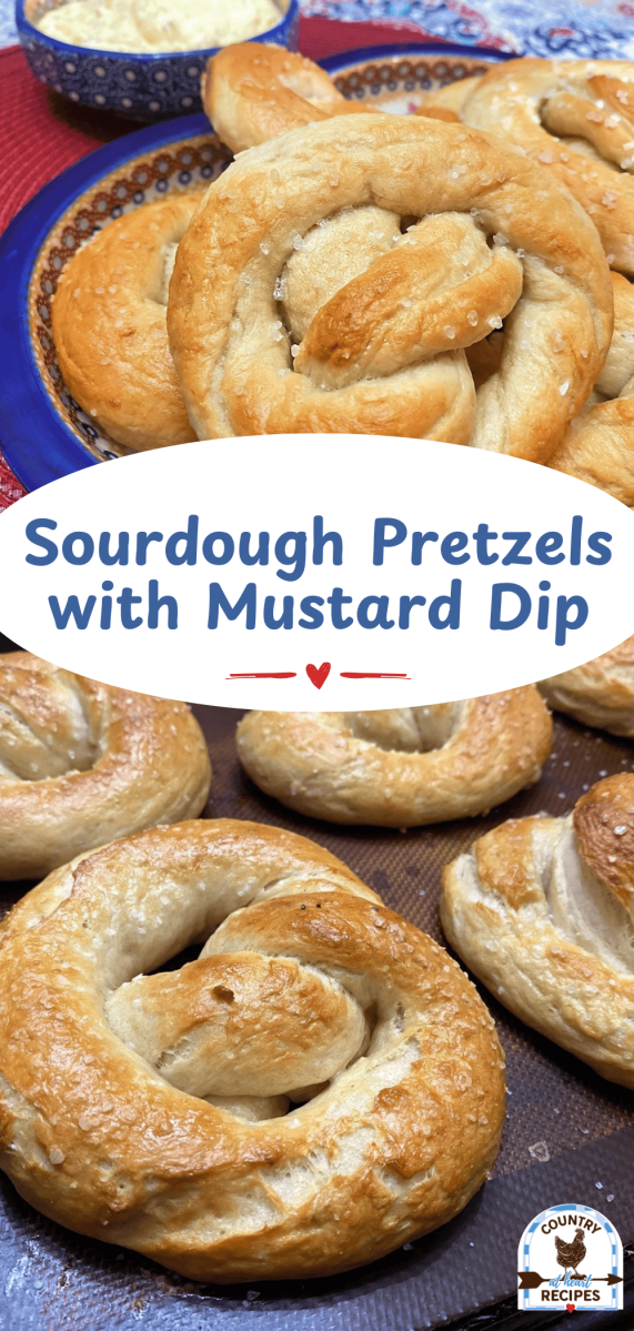 Pinterest Long Pin - Sourdough Pretzels with Mustard Dip