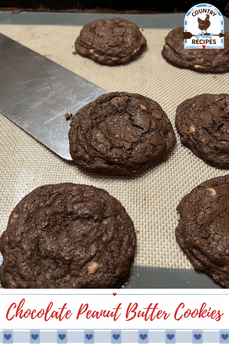 Pinterest Pin - Chocolate Peanut Butter Cookies
