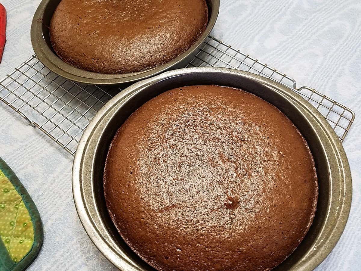 Baked Cake - 9" Cake Pans