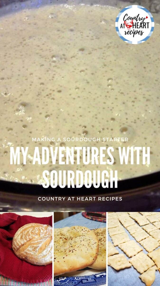 Pinterest Pin - Adventures with Sourdough - Sourdough Starter Recipe