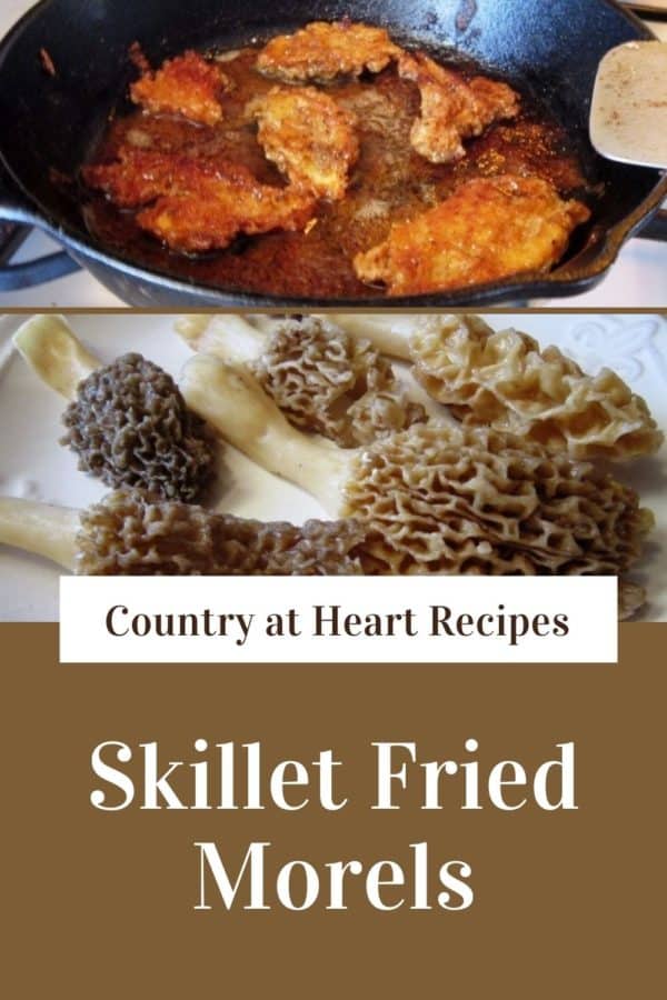 Pinterest Pin - Skillet Fried Morels
