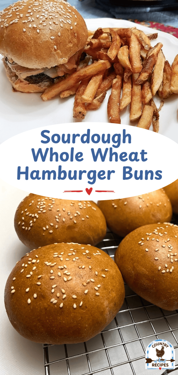 Pinterest Long Pin - Sourdough Whole Wheat Hamburger Buns