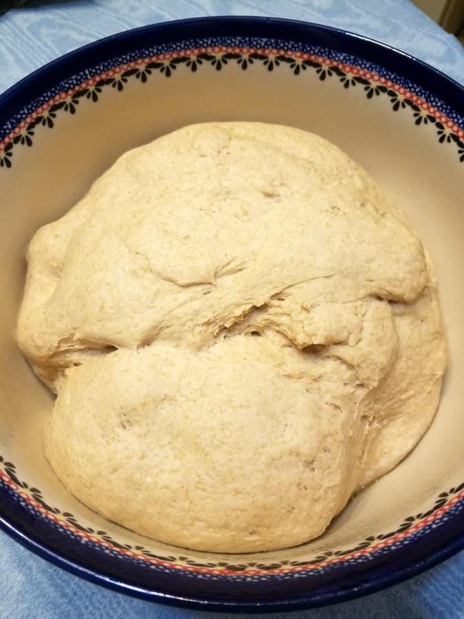 Rising Dough for Sourdough English Muffins