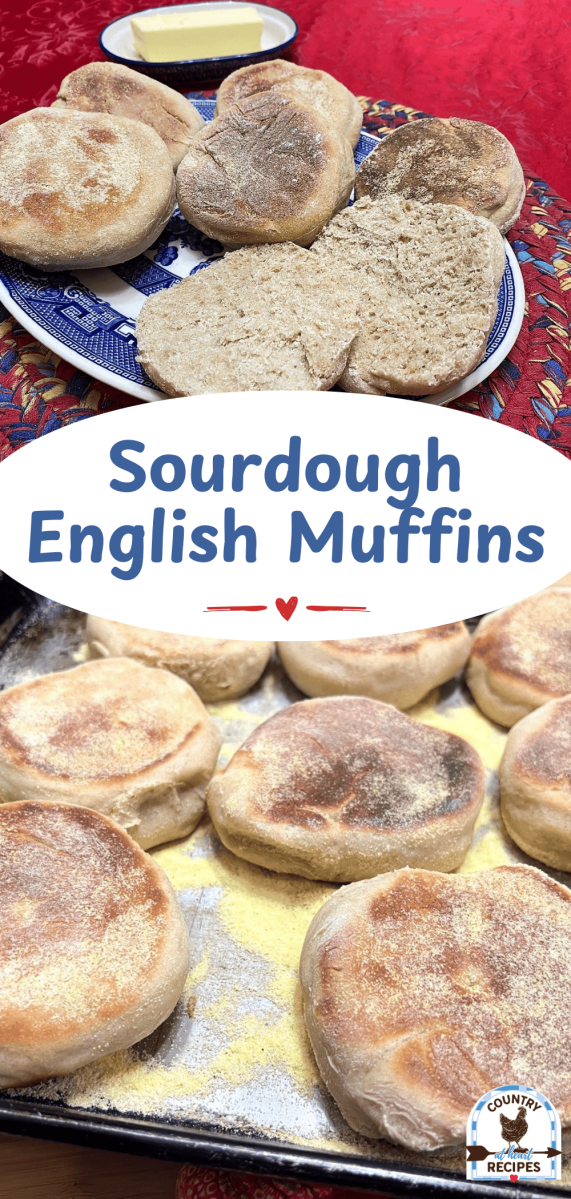 Pinterest Long Pin - Sourdough English Muffins