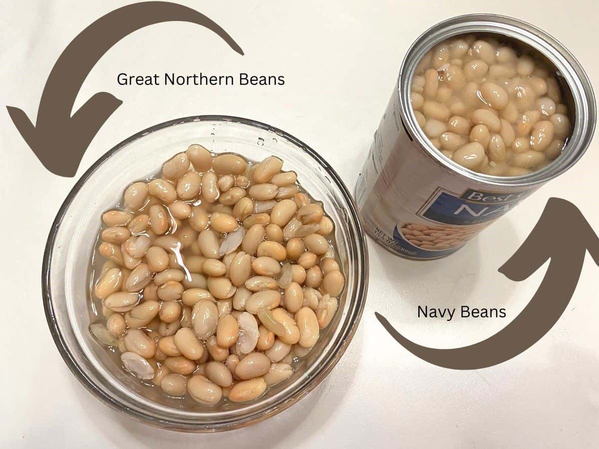 Comparison of Great Northern Beans and Navy Beans