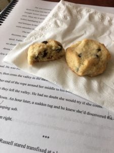 Lynne Tagawa Recipe for KETO Chocolate Chip Cookies