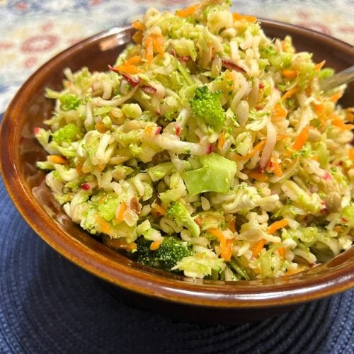 Featured Image - Recipe for Crunchy Broccoli Salad