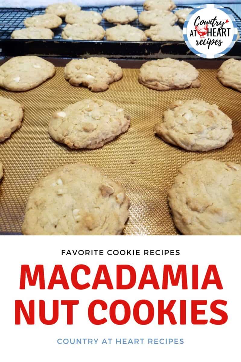 Pinterest Pin - Macadamia Nut Cookies