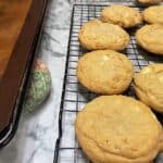 Featured Image - Recipe for Macadamia Nut Cookies