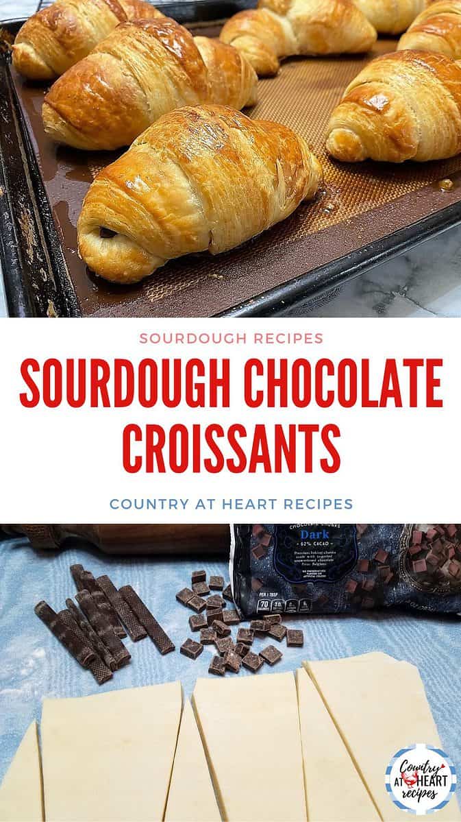 Pinterest Pin - Sourdough Chocolate Croissants