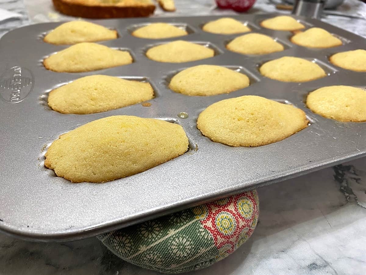 Baked Madeleines with Signature Hump or Bump