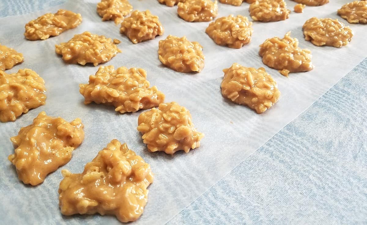 Peanut Butter Treats are the Perfect Summer Snack