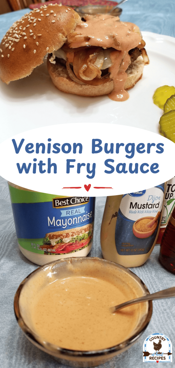 Pinterest Long Pin - Venison Burgers with Fry Sauce