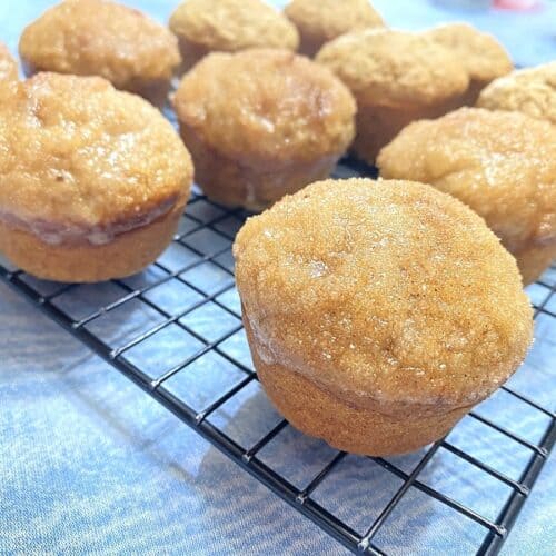 Recipe for Cinnamon Spice Applesauce Muffins