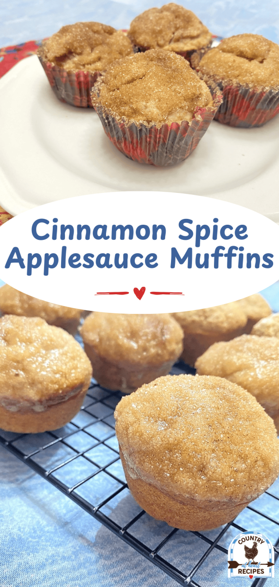 Pinterest Long Pin - Cinnamon Spice Applesauce Muffins