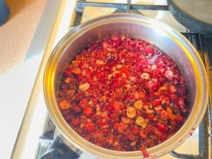 Simmer Cranberries in a pot of Water