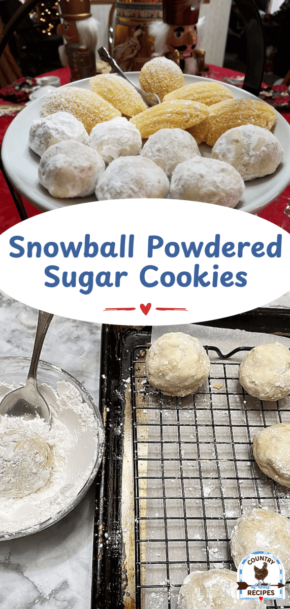 Pinterest Long Pin - Snowball Powdered Sugar Cookies