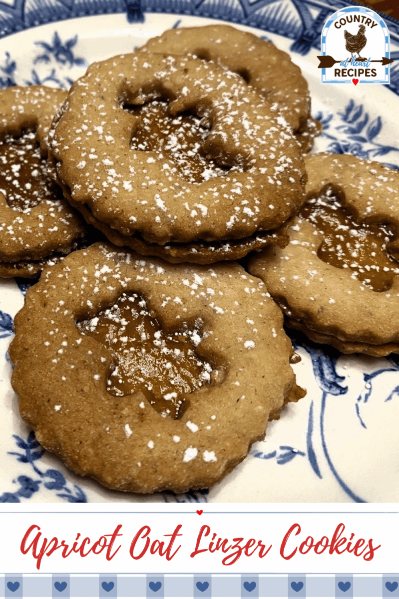 Pinterest Pin - Apricot Oat Linzer Cookies