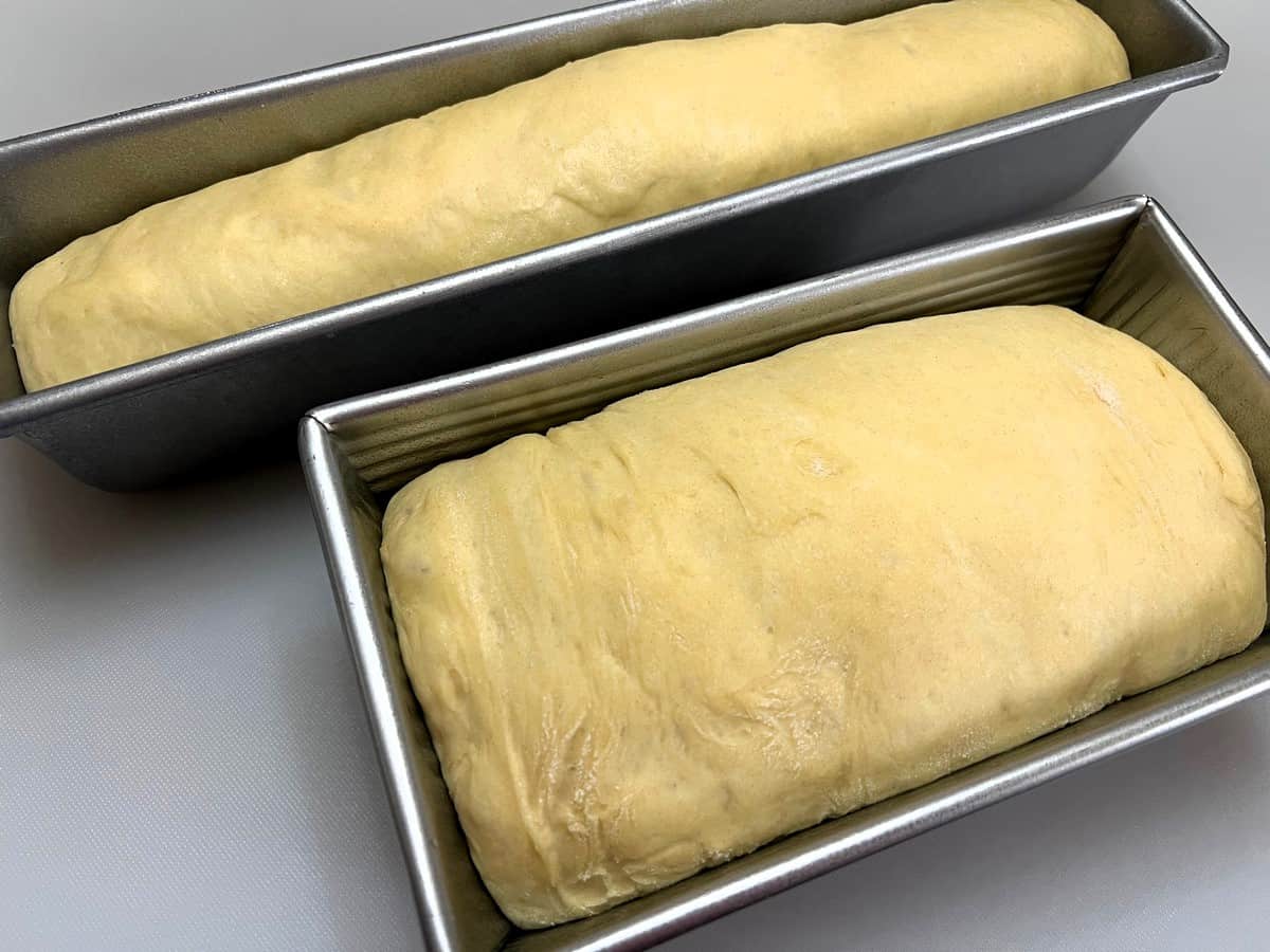 Allow Loaves to Rise until Nearly Doubled