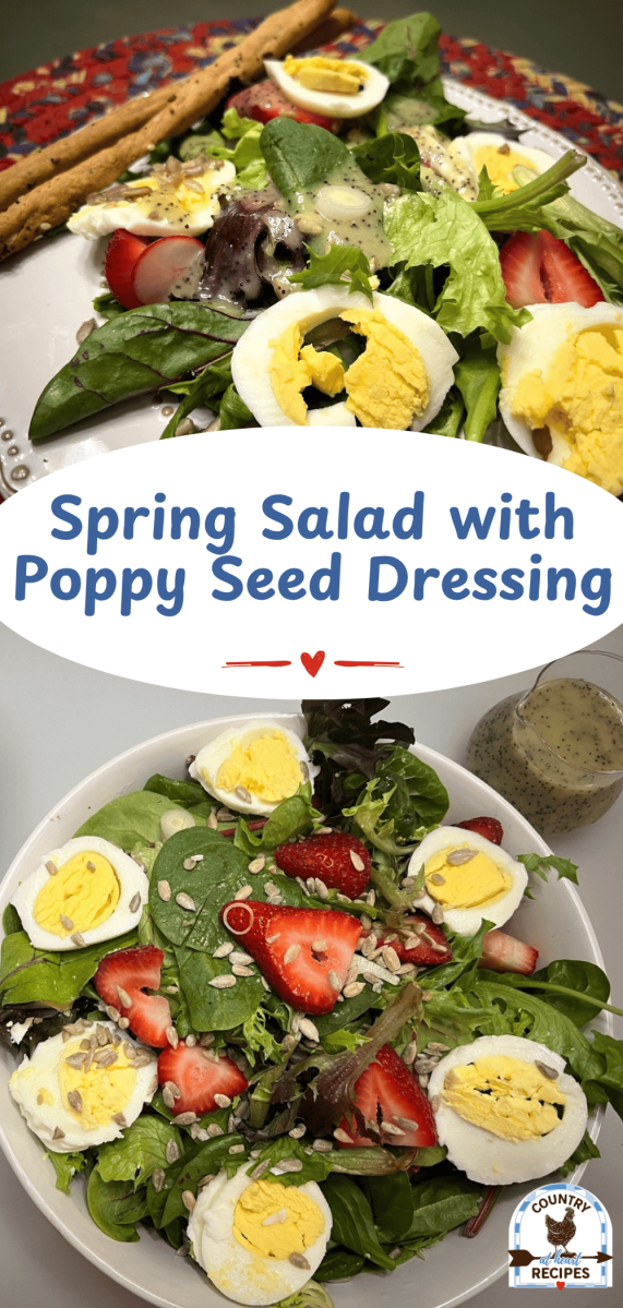 Pinterest Long Pin - Spring Salad with Poppy Seed Dressing