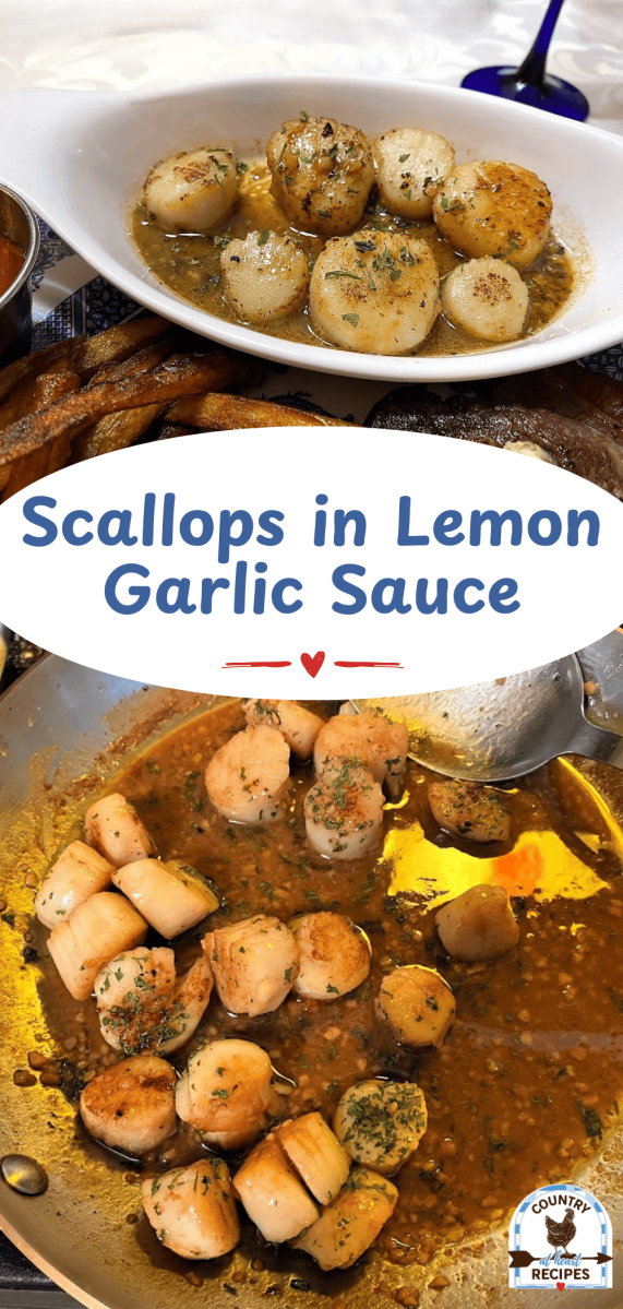 Pinterest Long Pin - Scallops in Lemon Garlic Sauce