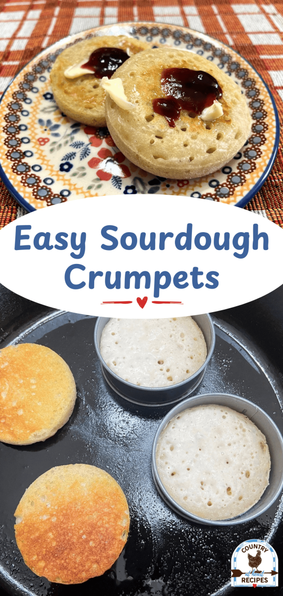 Pinterest Long Pin - Easy Sourdough Crumpets