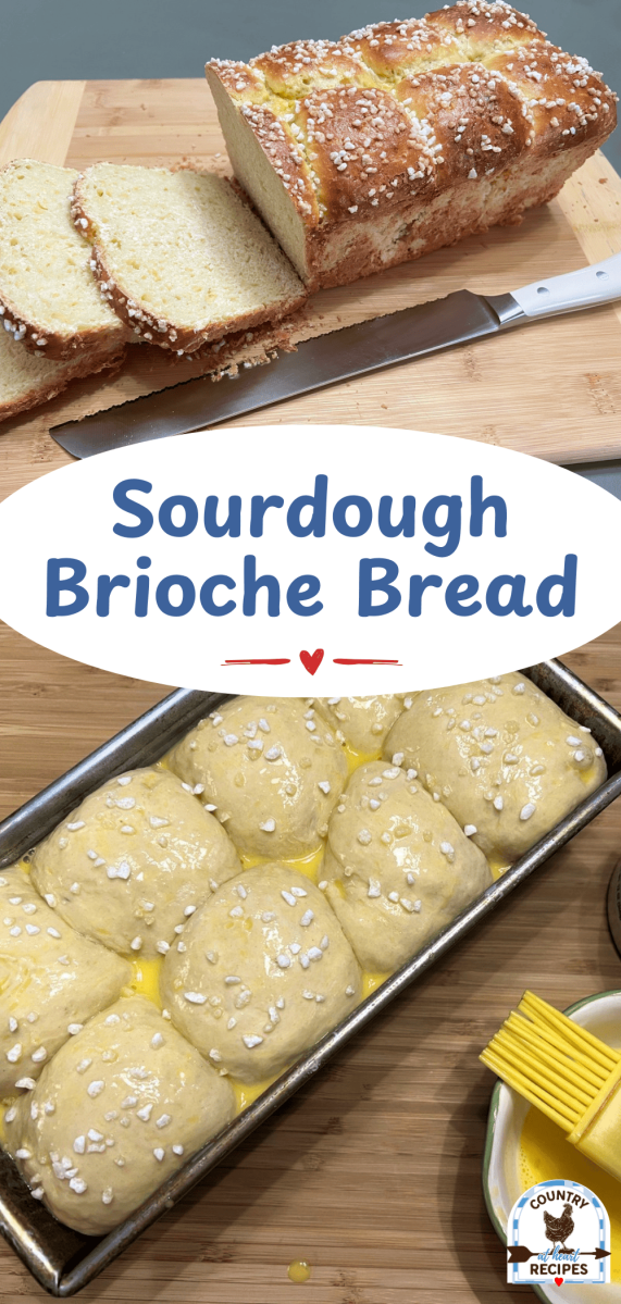Pinterest Long Pin - Sourdough Brioche Bread