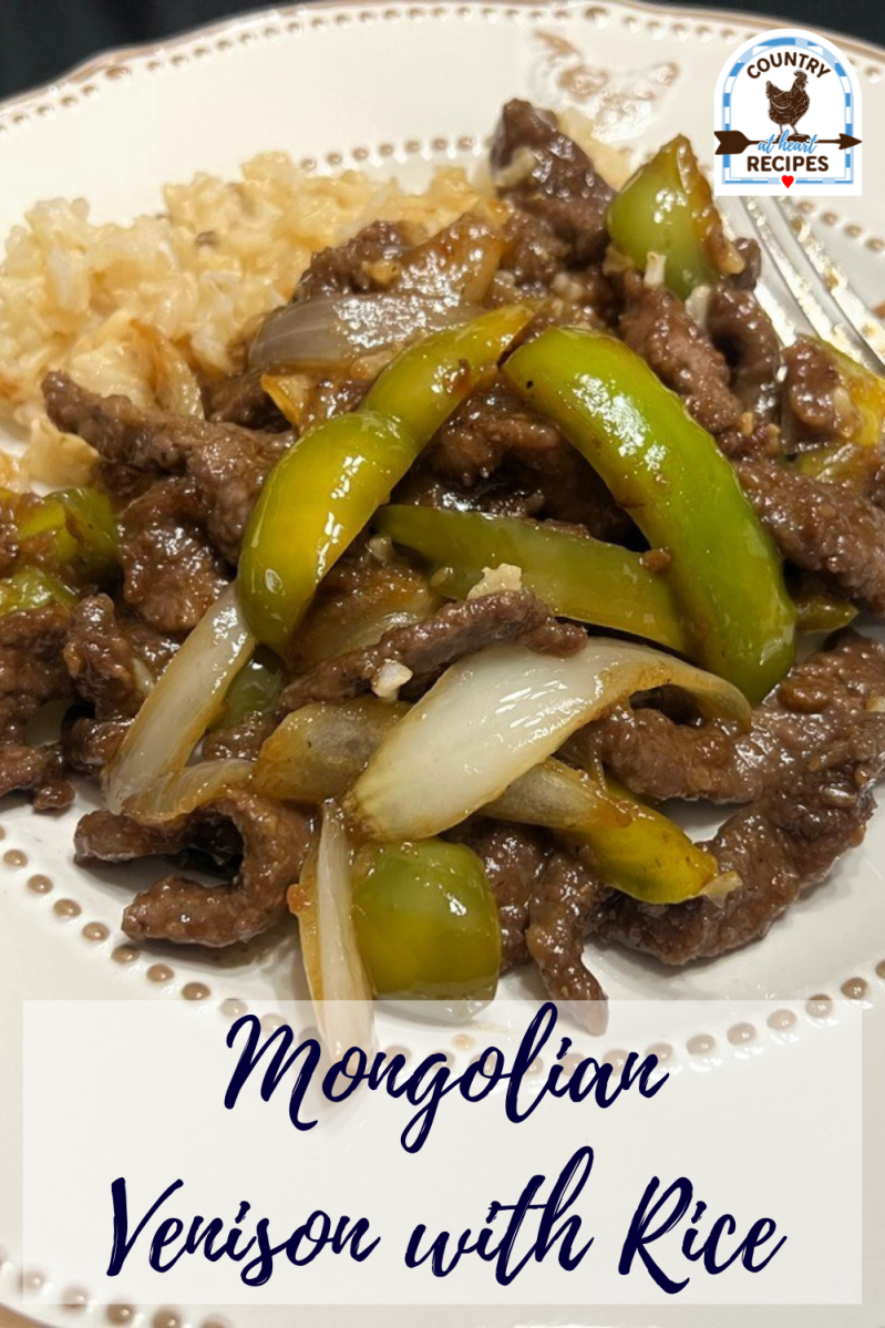 Pinterest Pin - Mongolian Venison with Rice