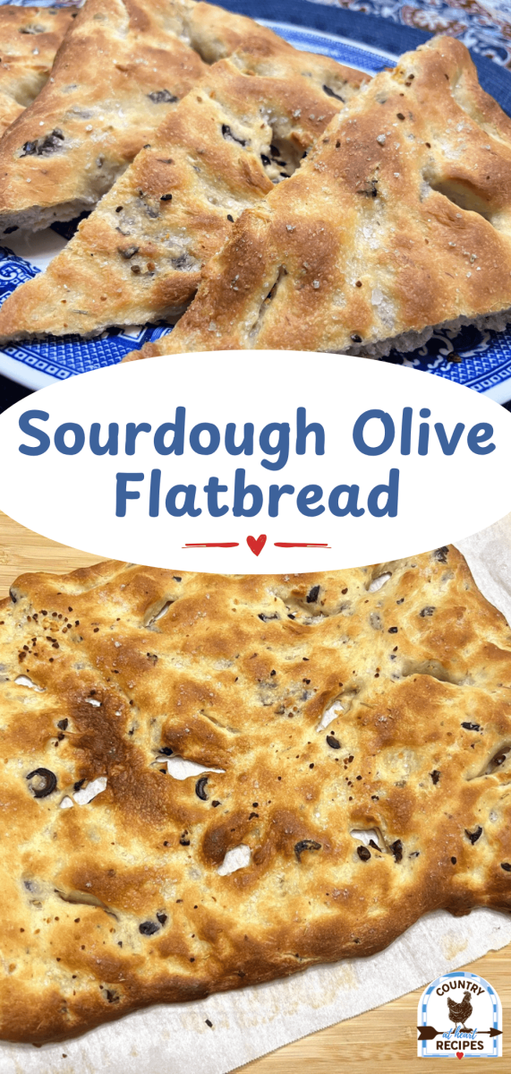 Pinterest Long Pin - Sourdough Olive Flatbread